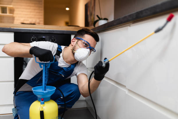 Best Mosquito Control Services  in Robstown, TX