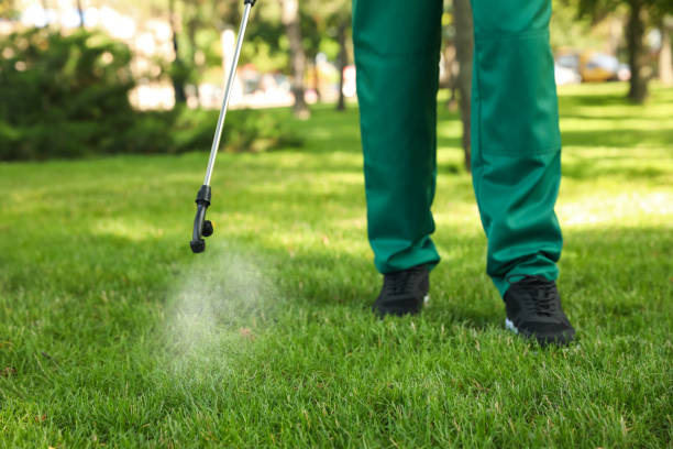 Best Cockroach Control Services  in Robstown, TX