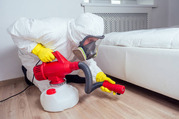 Best Termite Control Services  in Robstown, TX