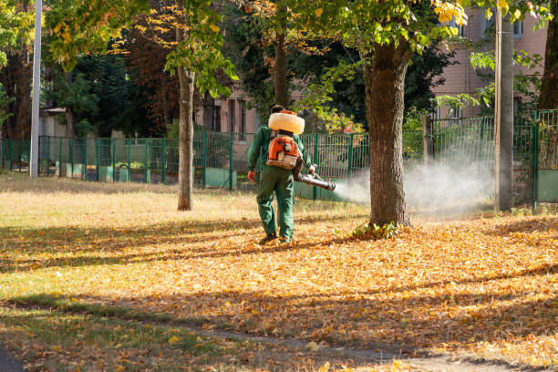 Best Mosquito Control Services  in Robstown, TX