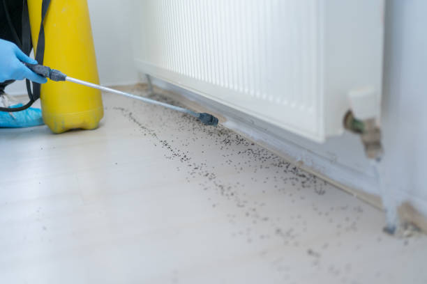 Best Exterminator Services  in Robstown, TX