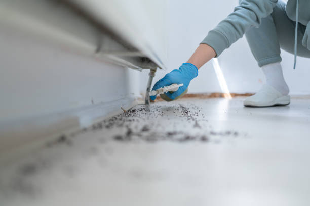 Best Commercial Pest Control Services  in Robstown, TX